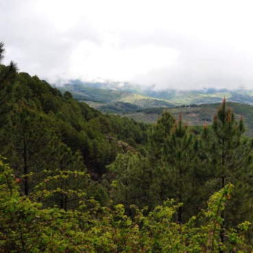 Casa rural en el casco antiguo de Arenas de San Pedro